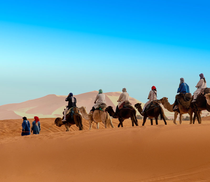 Camel treks, sand dunes, and stargazing