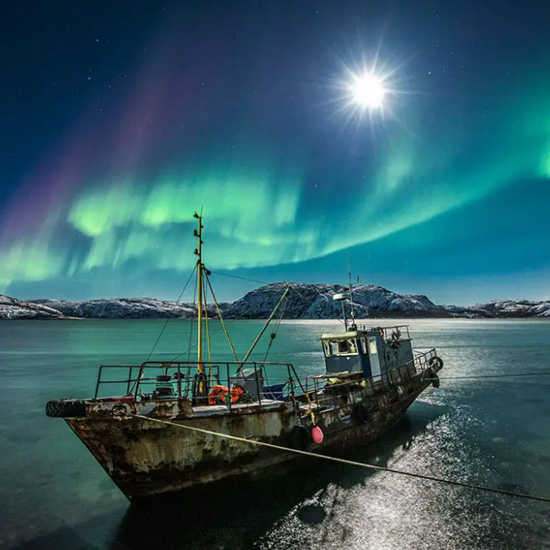 Winter Wonderland & Northern Lights